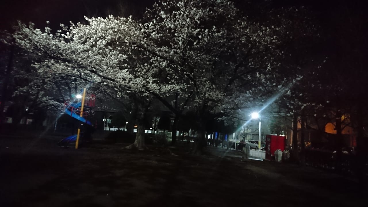 南越谷第一公園の夜桜