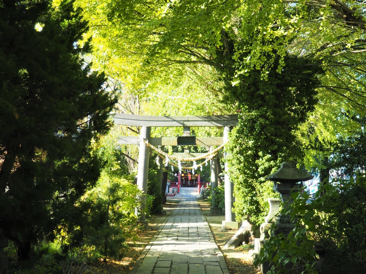 夏の香取神社