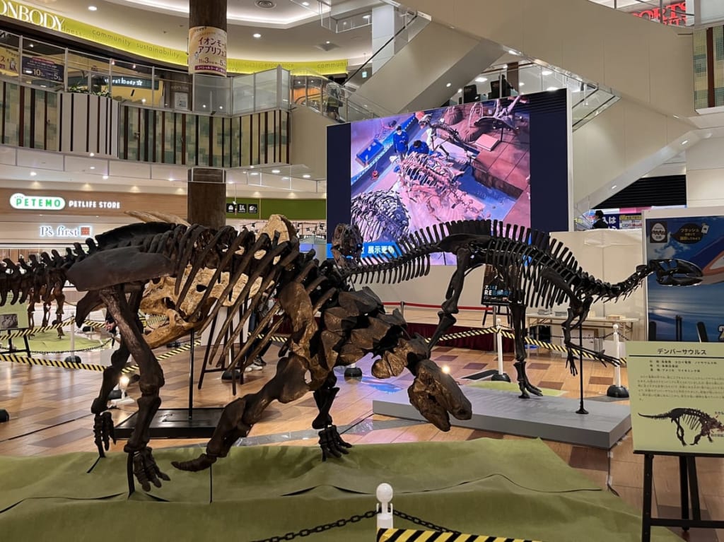 2023年サテライト恐竜展in越谷2