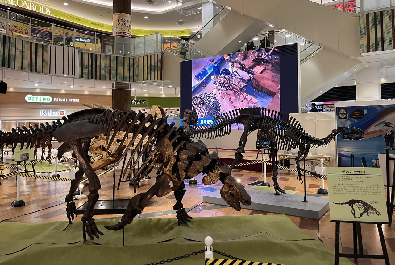 2023年サテライト恐竜展in越谷2