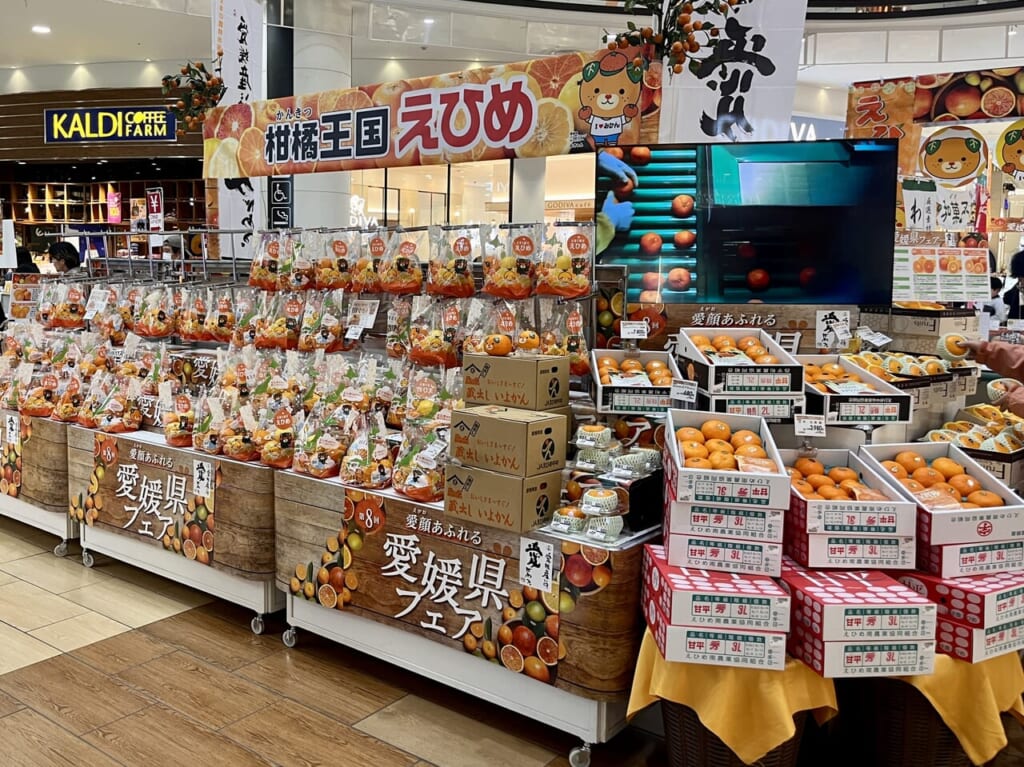 2024年愛媛県フェア外観3