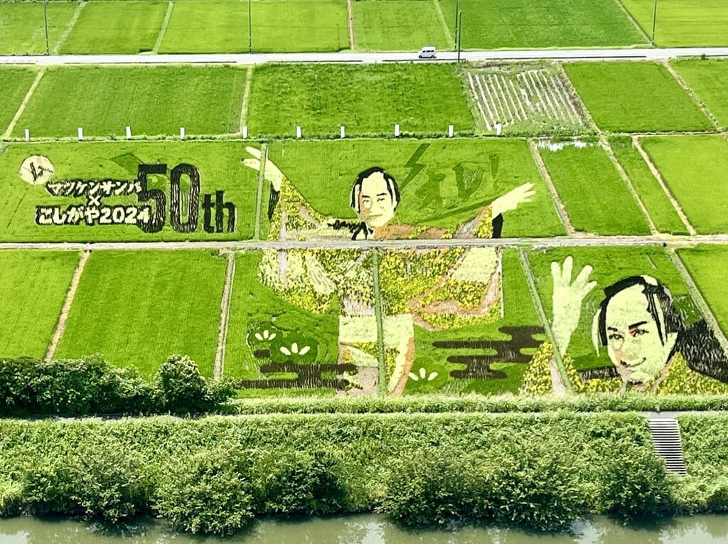 2024こしがや田んぼアート7月13日