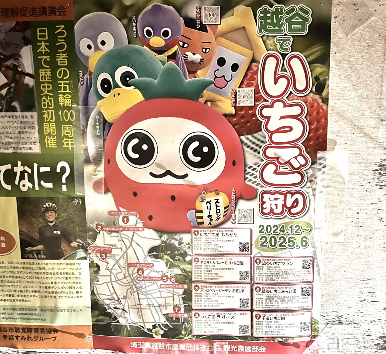2024年いちご狩りpop1