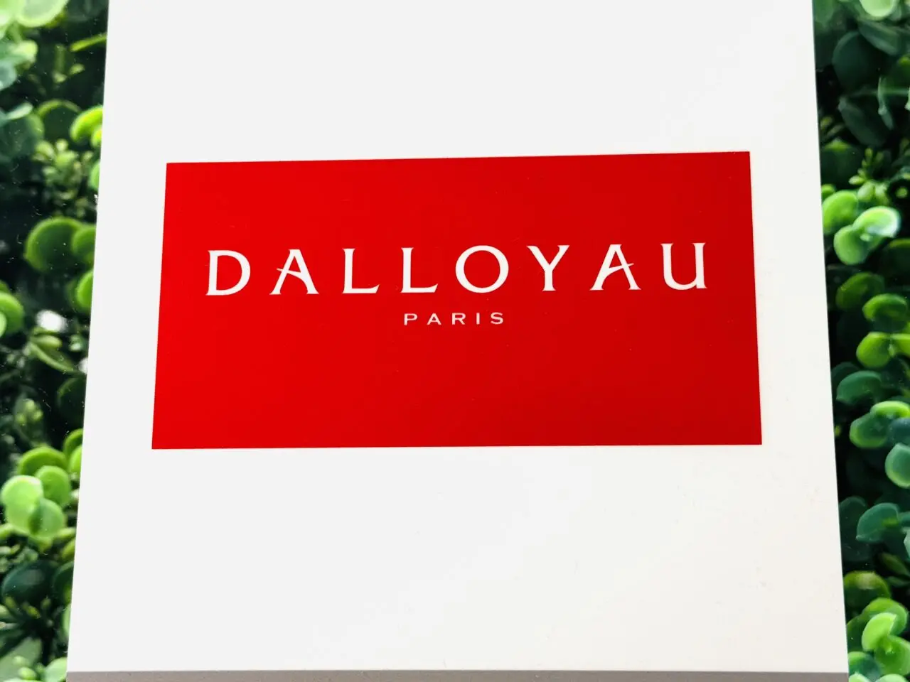 ダロワイヨのマカロンのサブスク、マイマカがお得すぎる・・・！