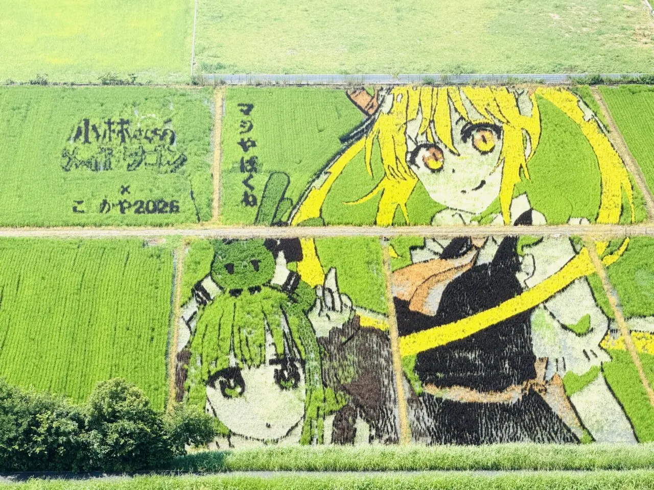 小林さんちのメイドラゴンの田んぼアートが越谷市でみられます