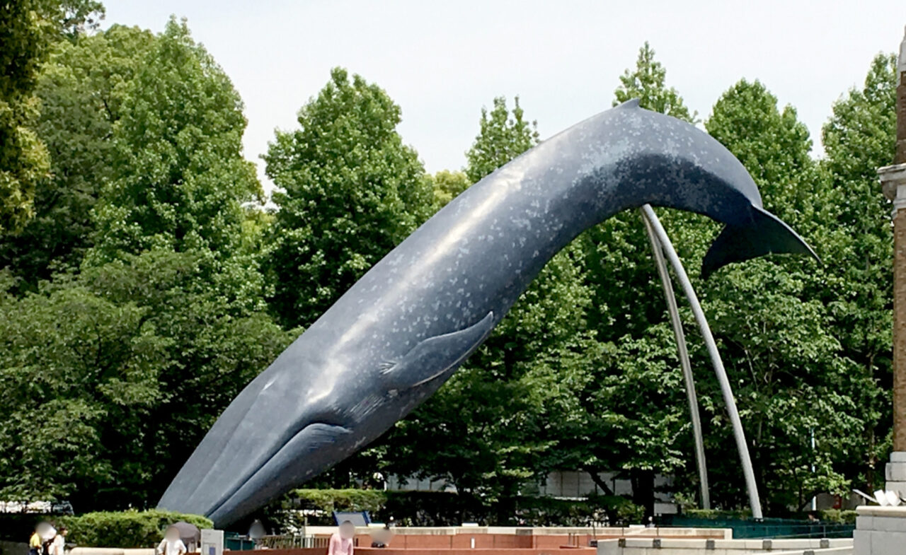 こども向け講演会「深海のナゾを追え！〜クジラの骨から深海洞窟へ〜」を開催します