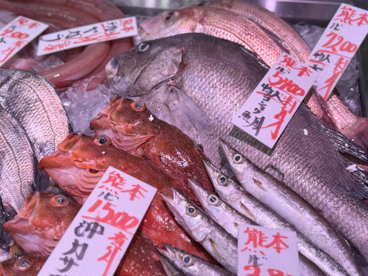 越谷の角上魚類で熊本gフェア、くまモンもやってくる！