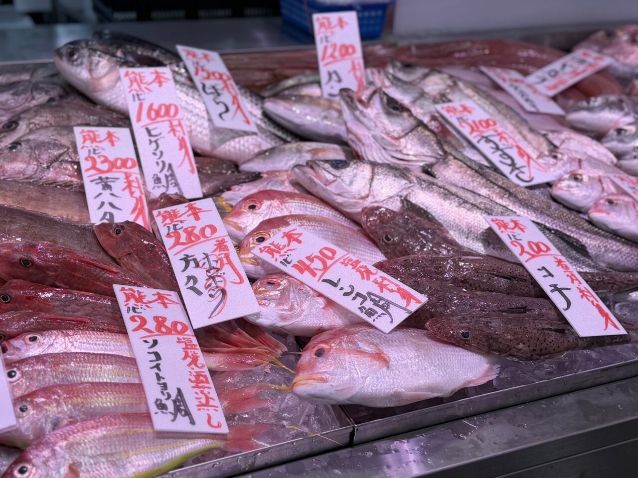 越谷の角上魚類で熊本gフェア、くまモンもやってくる！